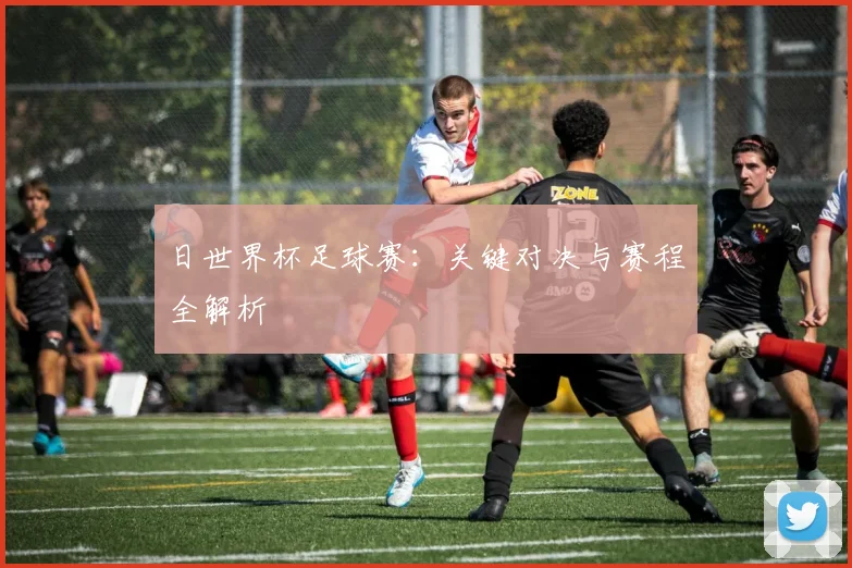 日世界杯足球赛:关键对决与赛程全解析