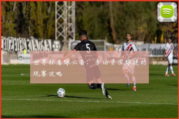 世界杯看球必备：专访资深球迷的观赛攻略