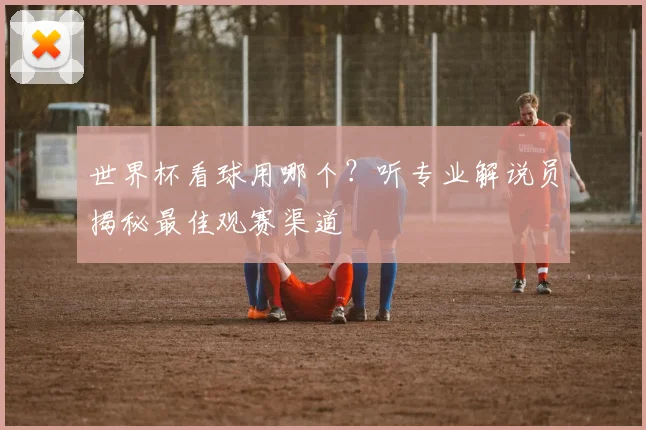 世界杯看球用哪个？听专业解说员揭秘最佳观赛渠道