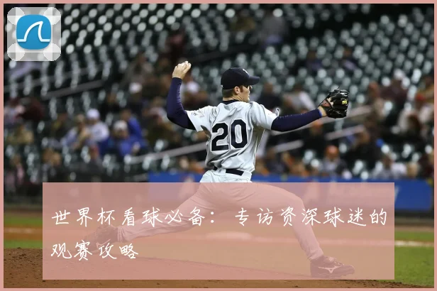 世界杯看球必备：专访资深球迷的观赛攻略
