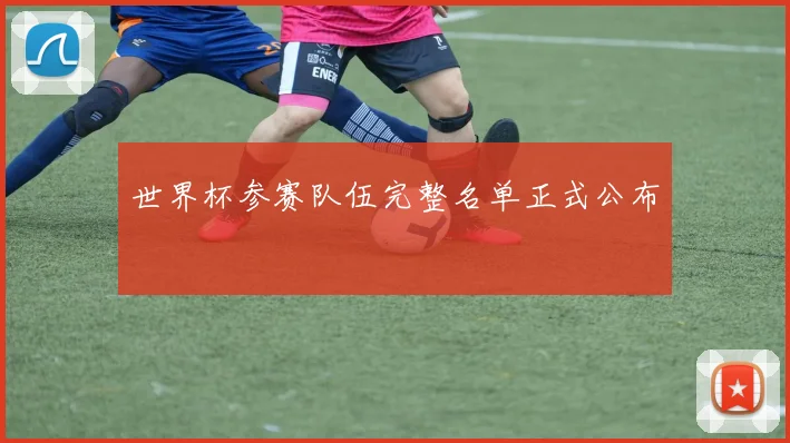 世界杯参赛队伍完整名单正式公布