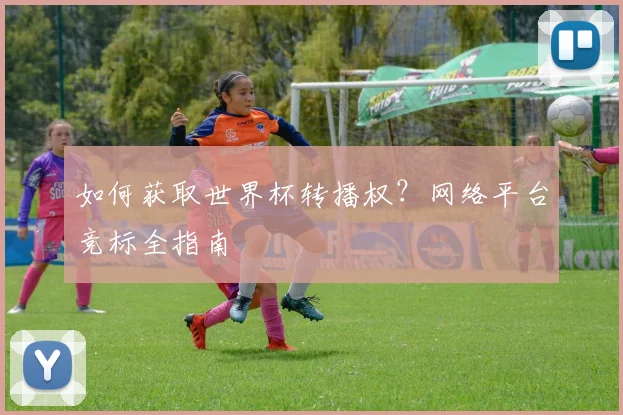 如何获取世界杯转播权?网络平台竞标全指南