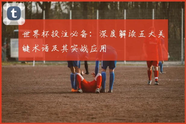 世界杯投注必备:深度解读五大关键术语及其实战应用