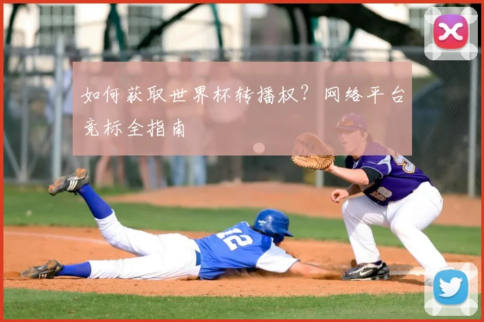 如何获取世界杯转播权?网络平台竞标全指南