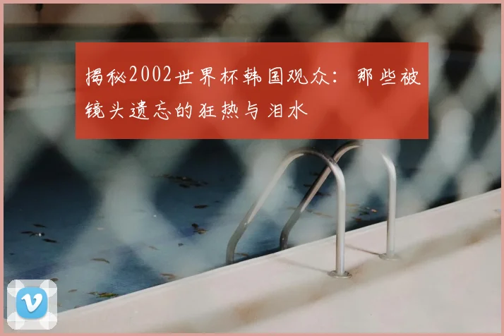 揭秘2002世界杯韩国观众：那些被镜头遗忘的狂热与泪水