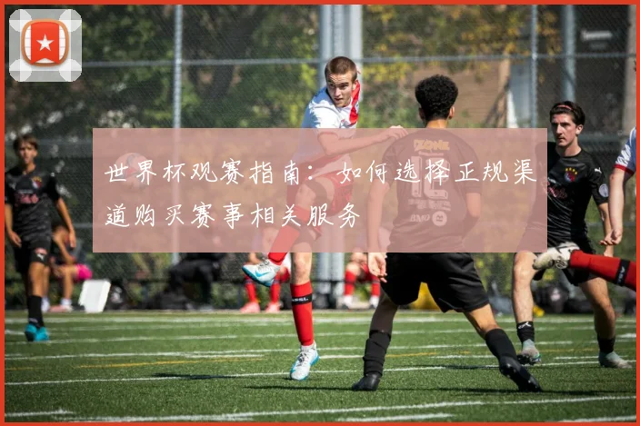 世界杯观赛指南：如何选择正规渠道购买赛事相关服务