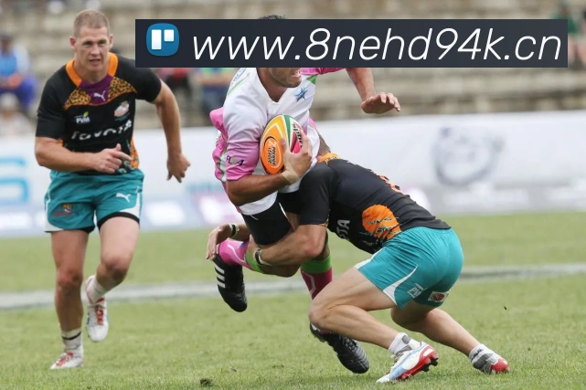 多媒体互动体验